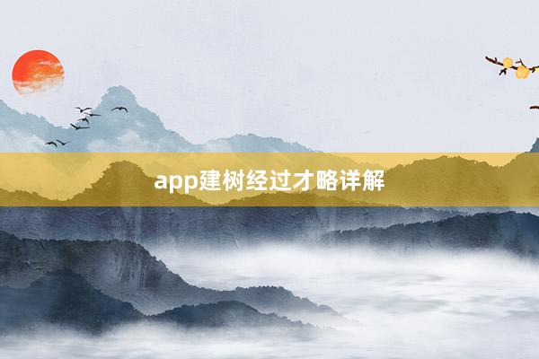app建树经过才略详解